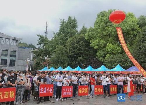 东莞大岭山爆料新闻事件,真相与影响揭秘  第1张